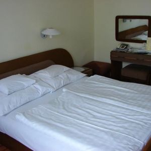 Hotel Hoforras