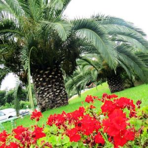 Hotel Palladium Kassandra