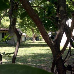 Hotel Olympios Zeus