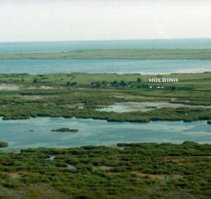 COMPLEX HOLBINA