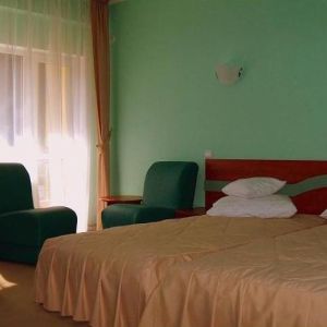 Hotel Central Olanesti