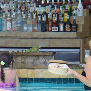 Renaissance Aruba Resort and Casino