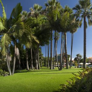 Hotel Botanico The Oriental Spa Garden (Puerto de la Cruz)