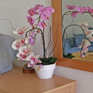 Wattermann Supertrus Resort