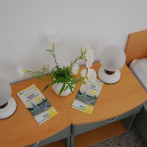 Hotel Raluca