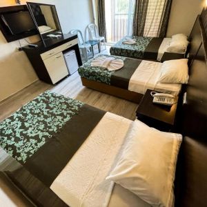 CASTLE PARK HOTEL