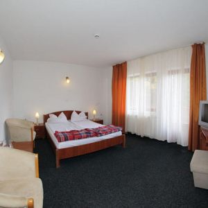 Hotel Paltinis Borsa