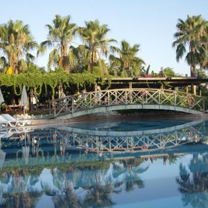Trendy Palm Beach