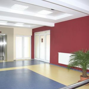 Hotel Bradul Vatra Dornei