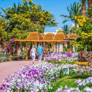 Hotel Desert Rose