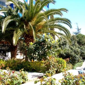 Gran Hotel Don Juan Lloret
