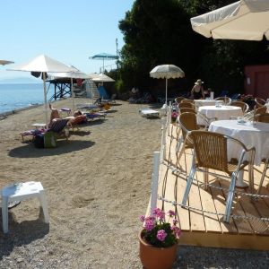 Hotel Oasis Resort