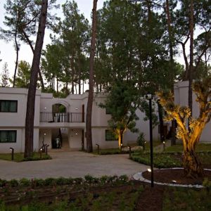 AYDINBEY SIU COLLECTION