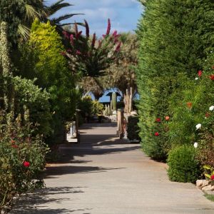 Cretan Malia Park Hotel