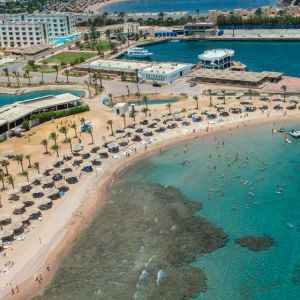 Calimera Blend Paradise
