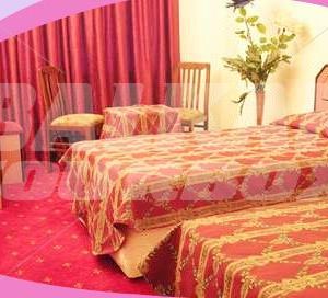 Hotel Buyuk Paris