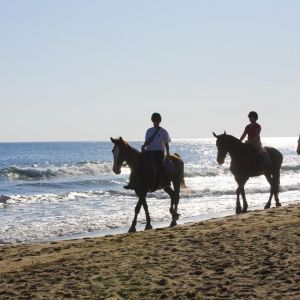 Hotel Pilot Beach Resort and Spa