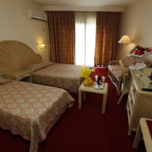 Hotel Aska Just In Beach