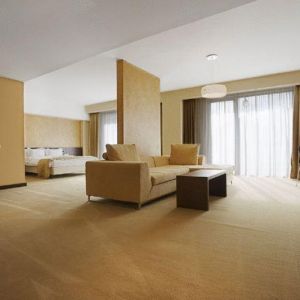 Hotel Clermont Covasna