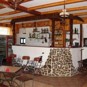 Hotel Alex Horezu