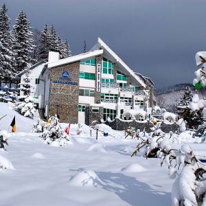 Hotel Alexandros Busteni