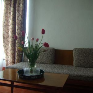 Hotel Banat