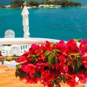 Hotel Dassia Beach