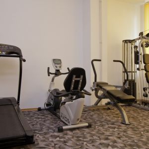 Hotel President Olanesti