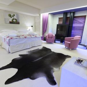 Hotel Ioana Sinaia