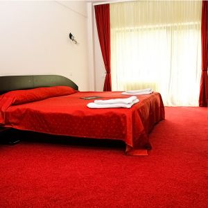 Hotel Poiana Ursului