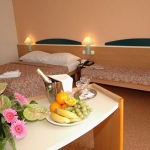 Hotel IBIS Praha Karlin