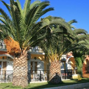 Hotel Metaxa