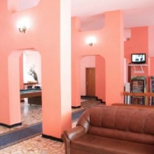 Hotel Bradul