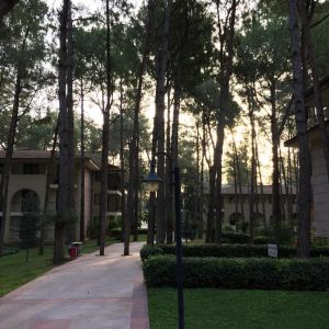 Champion Holiday Village