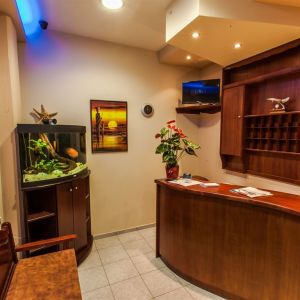 Oasis Apartmets