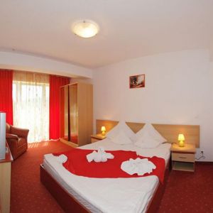 Hotel International Herculane