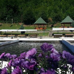 Complex Lostrita