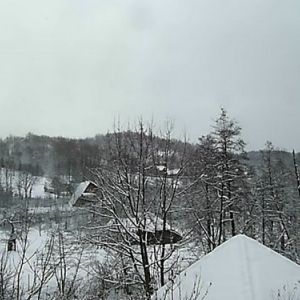 Pensiunea Firiza