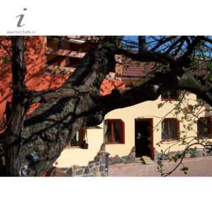Pensiunea Casa Olarului