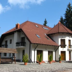 Pensiunea Vila Daria