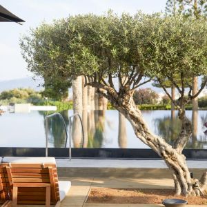 Minos Palace Hotel and Suites