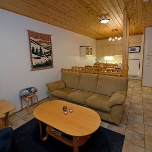 Hotel Alppi E1