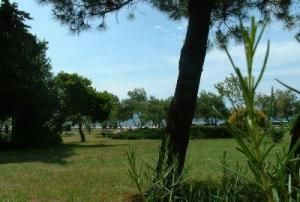 Hotel Donat