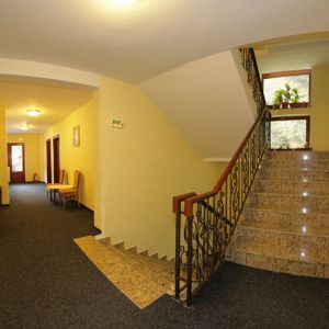 Hotel Paltinis Borsa