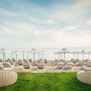 Blue Carpet Luxury Suites