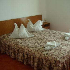 Hotel Banat