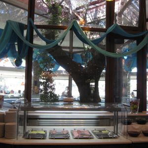 Hotel Anthemus Sea Beach and Spa