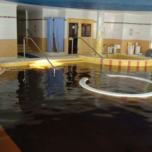 Hotel Silver