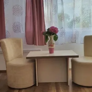 Hotel Pescarus