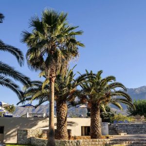 Vantaris Garden Hotel